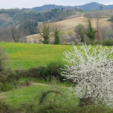 Villa Tenuta Di Roscetti