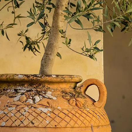 Tenuta Di Roscetti